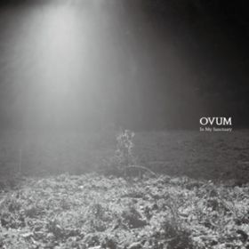 Bloom In The Dark / OVUM