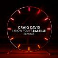 I Know You (Remixes) featD Bastille