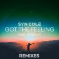 Syn Cole̋/VO - Got the Feeling (Alex Ross Remix) feat. kirstin