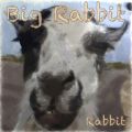 Ao - Big Rabbit / Rabbit