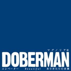 肫̌t / DOBERMAN