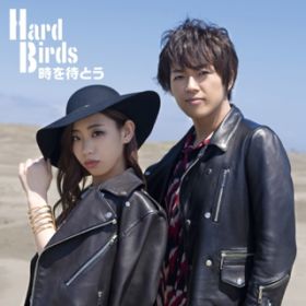 Ao - ҂Ƃ / HardBirds