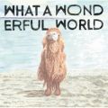 Ao - What A Wonderful World / x׍s