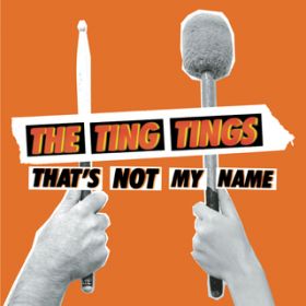 That's Not My Name (Soul Seekerz Radio Mix) / The Ting Tings