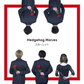 stranger / Hedgehog Maries