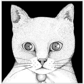 VL̉(The Siamese Cat Song)fBYj[fu񕨌v / eeR