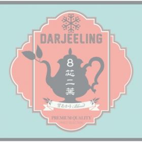 POP OUT OF THE TEA CUP / Darjeeling