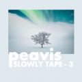 Ao - Slowly Tape 3 / peavis