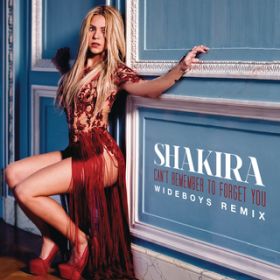 Can't Remember to Forget You (Wideboys Remix) / Shakira