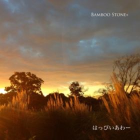 tNV / Bamboo Stone +