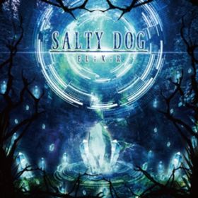Screams Within / SALTY DOG