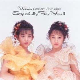Ao - Wink CONCERT TOUR 1990 `Especially For You II` / Wink