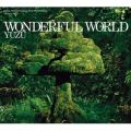 Ao - WONDERFUL WORLD / 䂸