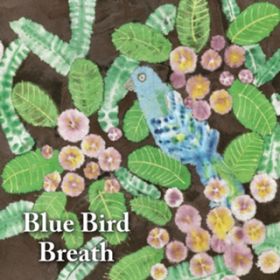Ao - Blue Bird / Breath