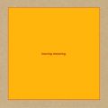 Ao - leaving meaning / Swans