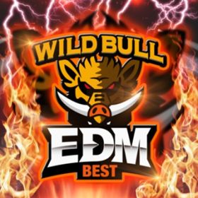 Ao - Wild Bull EDM BEST / Various Artists
