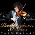 Ao - The Symphonic Sessions / tY