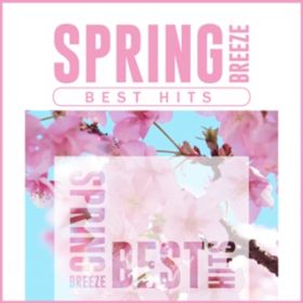 Ao - SPRING BREEZE BEST HITS -tɒmy_X~[WbN- / Various Artists