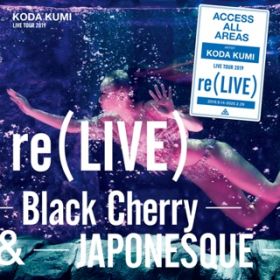 k, re(LIVE) -Black Cherry- (iamSHUM Non-Stop Mix) in Osaka at IbNX (2019D10D13) / cҖ