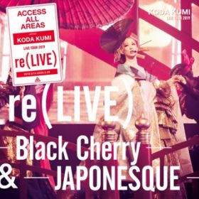 KO-SO-KO-SO re(LIVE) -JAPONESQUE- (REMO-CON Non-Stop Mix) in Osaka at IbNX (2019D10D13) / cҖ