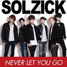 NEVER LET YOU GO / SOLZICK