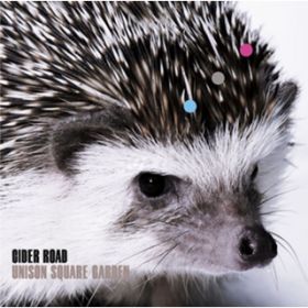 to the CIDER ROAD / UNISON SQUARE GARDEN
