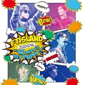 YES or NO (Live-2015 Autumn Tour -Where's my PUPPY?-@Nippon Budokan, Tokyo) / FTISLAND