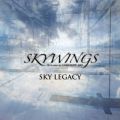 SKYWINGS̋/VO - INTO THE EXPLOSION