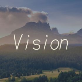 Vision / LISA