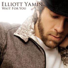 YOU ARE THE ONE / ELLIOTT YAMIN