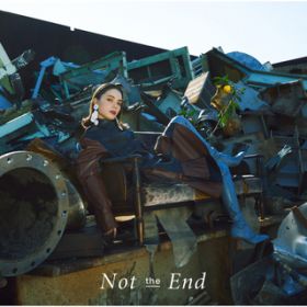 Not the End (Instrumental) / c C