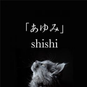  / shishi