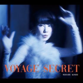 閧̗ -Voyage secret- / RV~n
