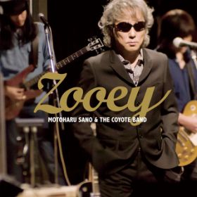 Zooey / 쌳t/THE COYOTE BAND