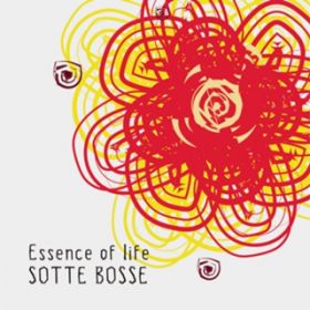 \z} ? (Cover) / Sotte Bosse