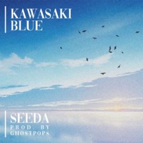 Kawasaki Blue / SEEDA