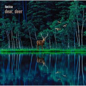 Ao - BEST ALBUM dear, deer / tacica