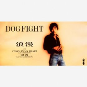 STORM IN MY HEART(Live Version) / DOG FIGHT