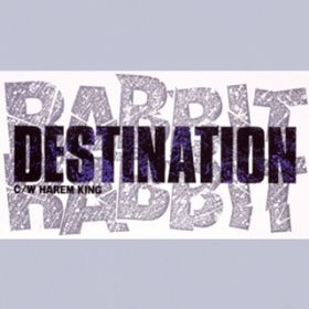 Ao - DESTINATION / RABBIT