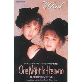 Ao - ONE NIGHT IN HEAVEN `^钆̃GWF` / Wink