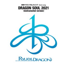 DRAGON SOUL 2021 (instrumental version) / ܏X