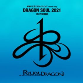 DRAGON SOUL 2021 / ܏X