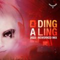 YOJI BIOMEHANIKA̋/VO - DING A LING (2022 REWORKED MIX)