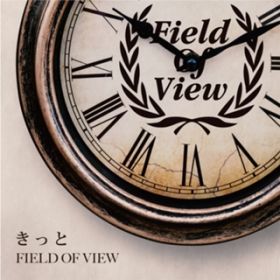  / FIELD OF VIEW