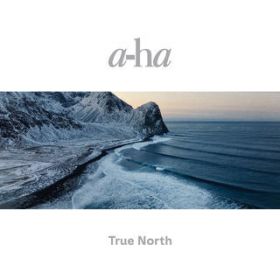 Forest For The Trees / a-ha