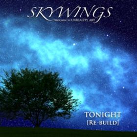 TONIGHT (Re-build) / SKYWINGS