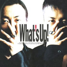 l΂ɂ / What's Up!