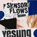 Ao - Sensory Flows - The 1st Album / YESUNG