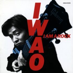 I AM A ROCK / Rj