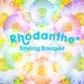 Rhodanthe*̋/VO - Smiling Bouquet